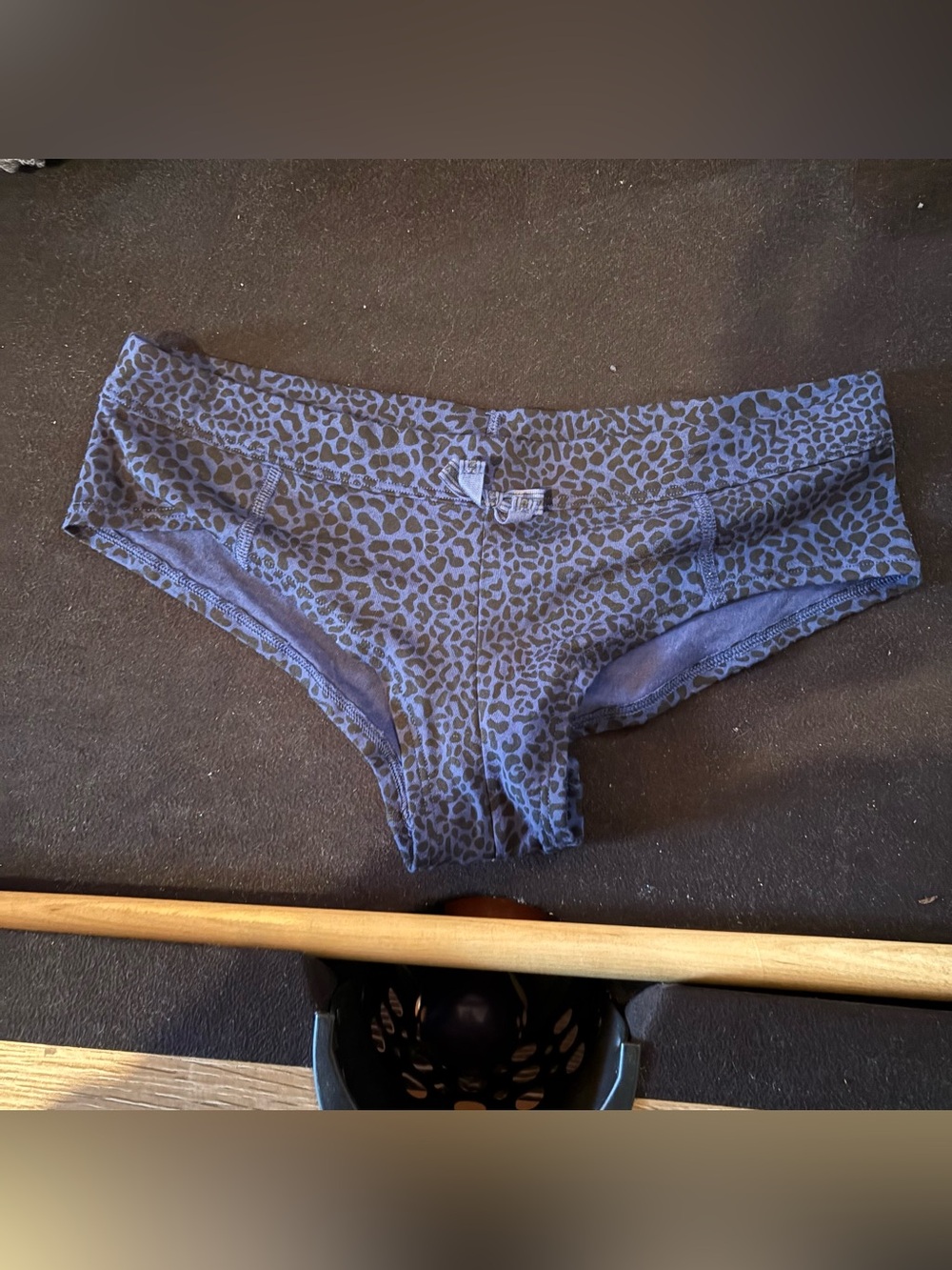 Victoria's Secret Blue Leopard Hipster Panty